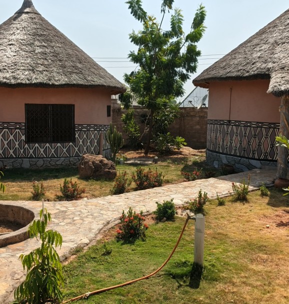 IMG_20251121_124344_169 (1)