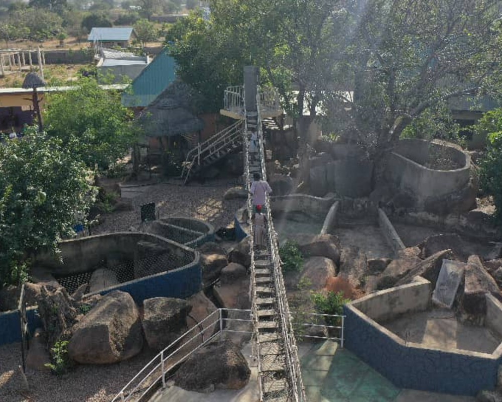 WhatsApp Image 2025-12-16 at 19.08.34_e1150094